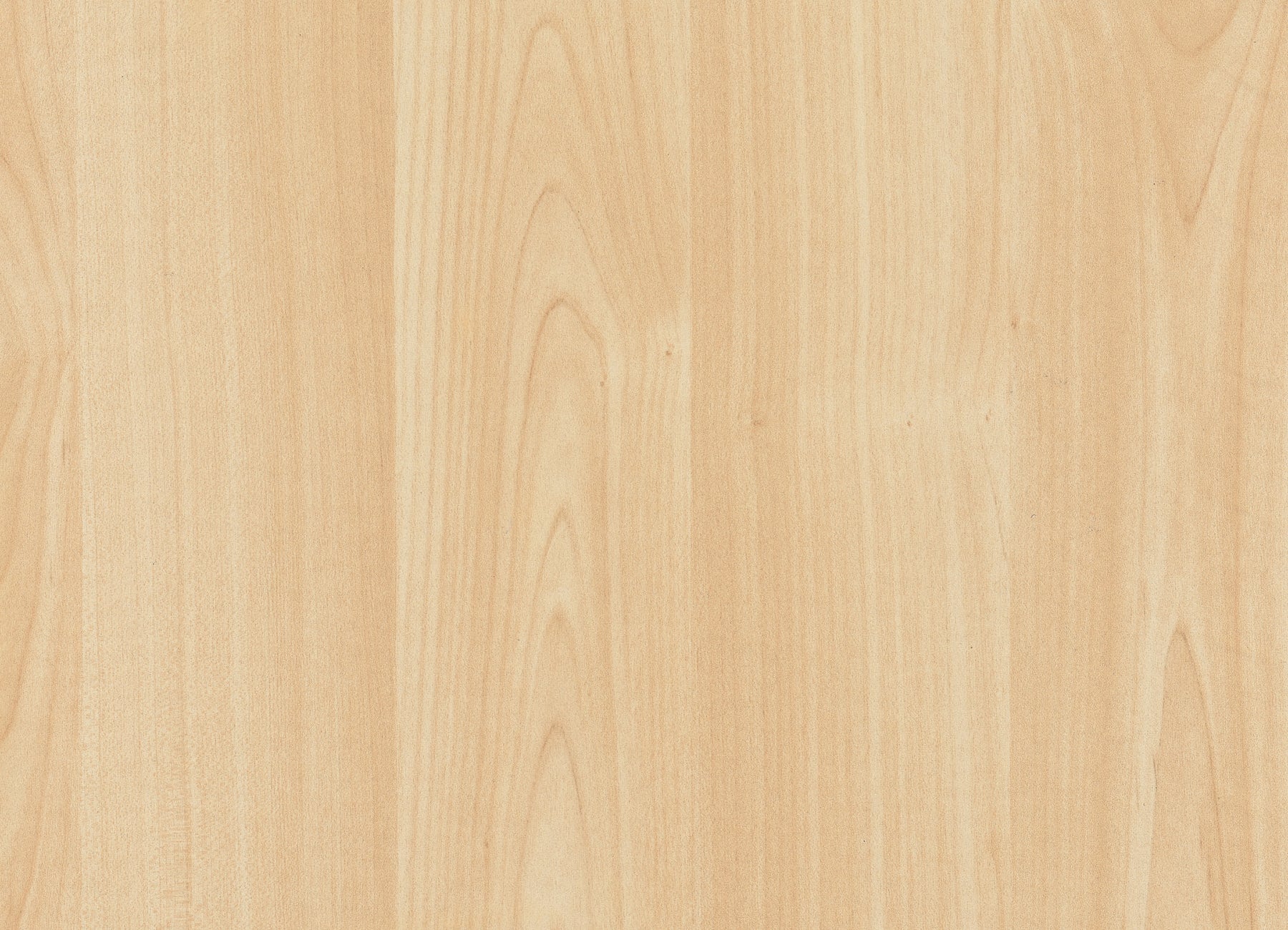 Maple Adhesive Film by WallPops