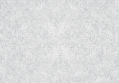 Rice Paper Window Film by WallPops