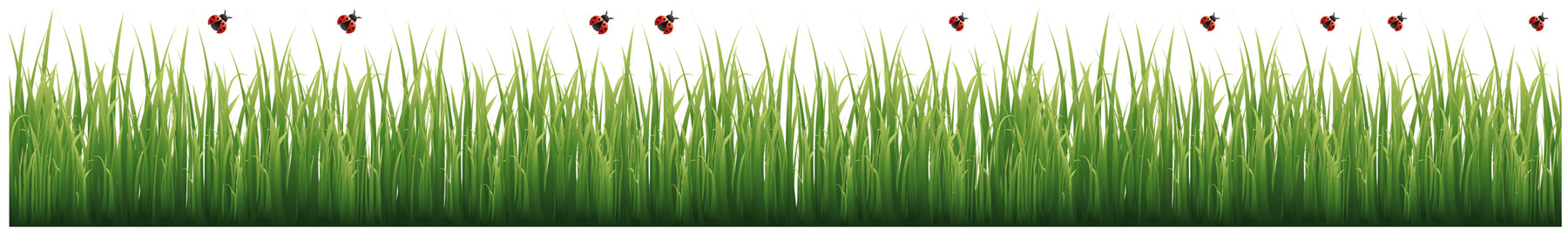 Grass & Ladybugs Wall Decals by WallPops