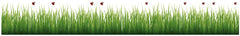 Grass & Ladybugs Wall Decals by WallPops