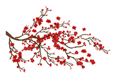 Ramage Wall Decals by WallPops