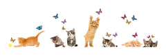 Playful Cats & Butterflies Window Stickers by WallPops