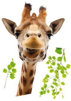 Giraffe Window Stickers - panels