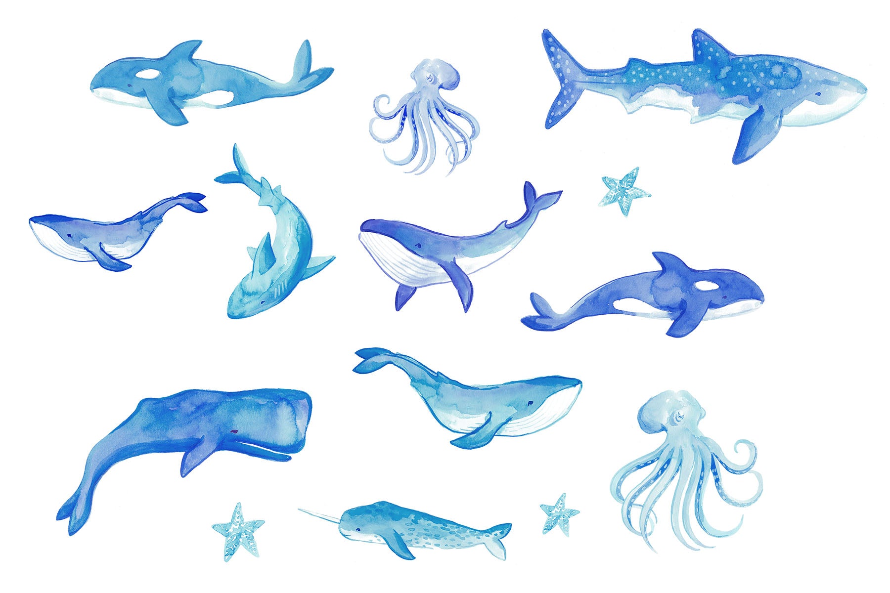 Nautical Nonsense Wall Decals by WallPops