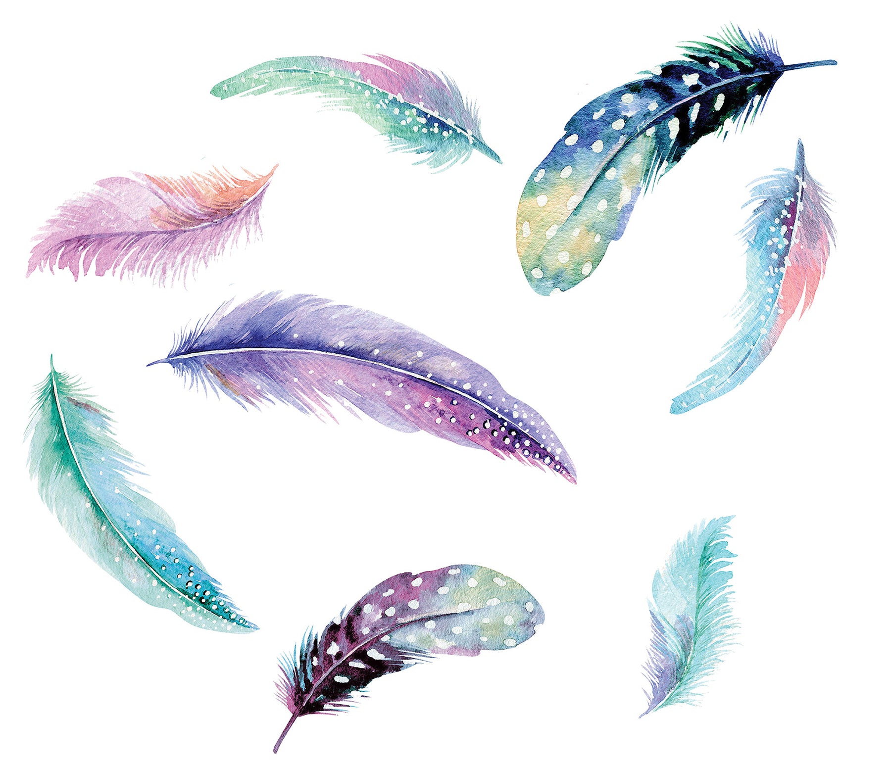 Celestial Feathers Wall Decals by WallPops