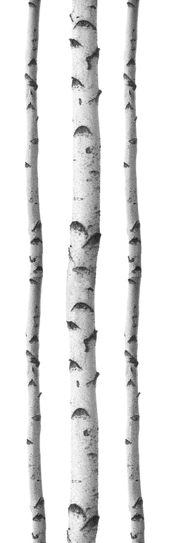 Birches Wall Decals by WallPops