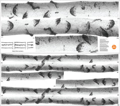 Birches Wall Decals pattern close-up