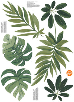 Havana Leaves Wall Decals pattern close-up