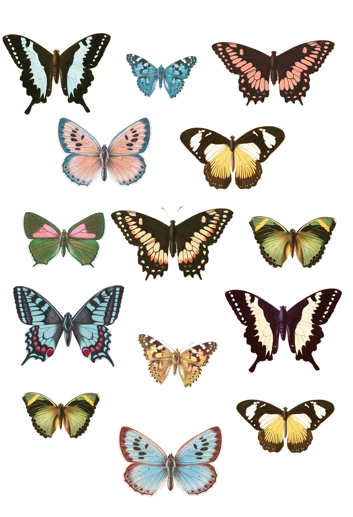 Spread Your Wings Wall Decals by WallPops
