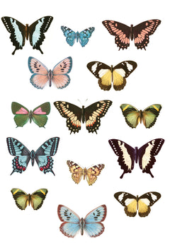 Spread Your Wings Wall Decals by WallPops