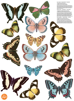 Spread Your Wings Wall Decals pattern close-up