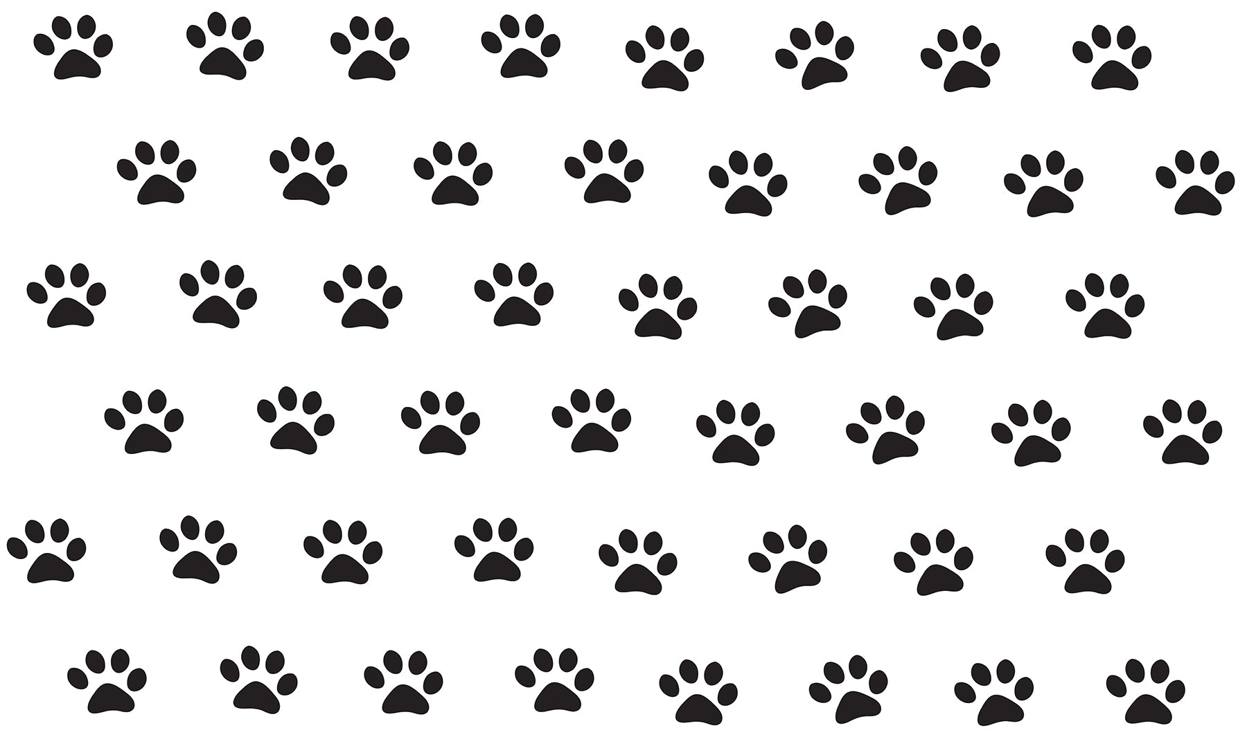 Paw Prints Wall Decals by WallPops