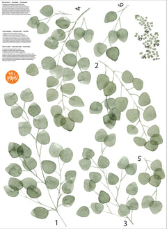 Eucalyptus Wall Decals - panels