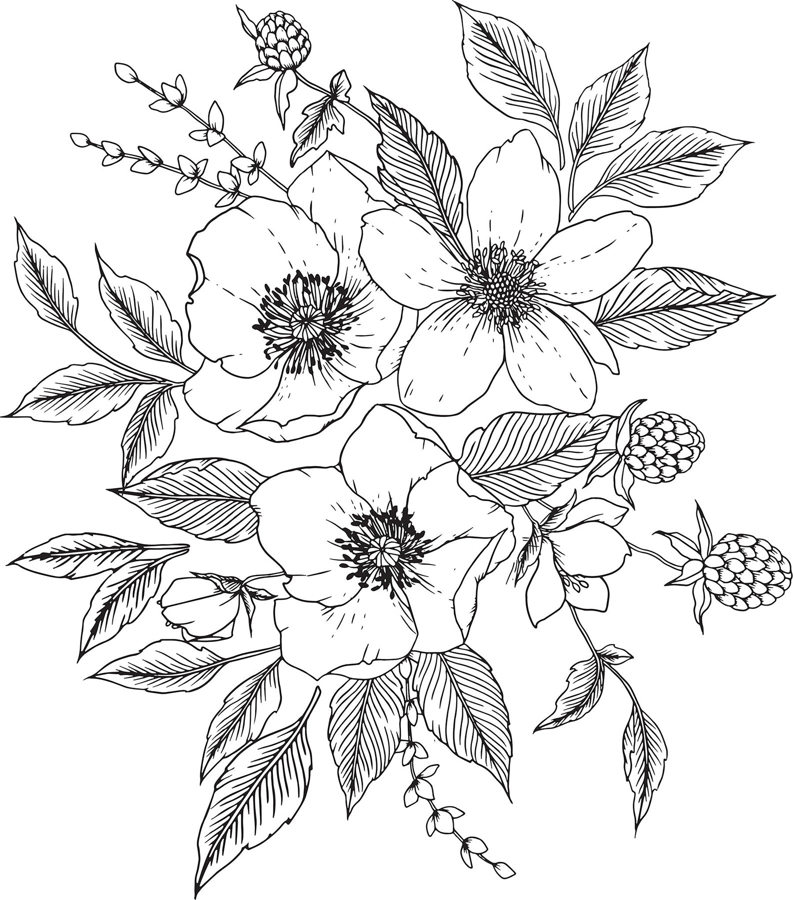 Anemone & Blackberry Wall Decals by WallPops
