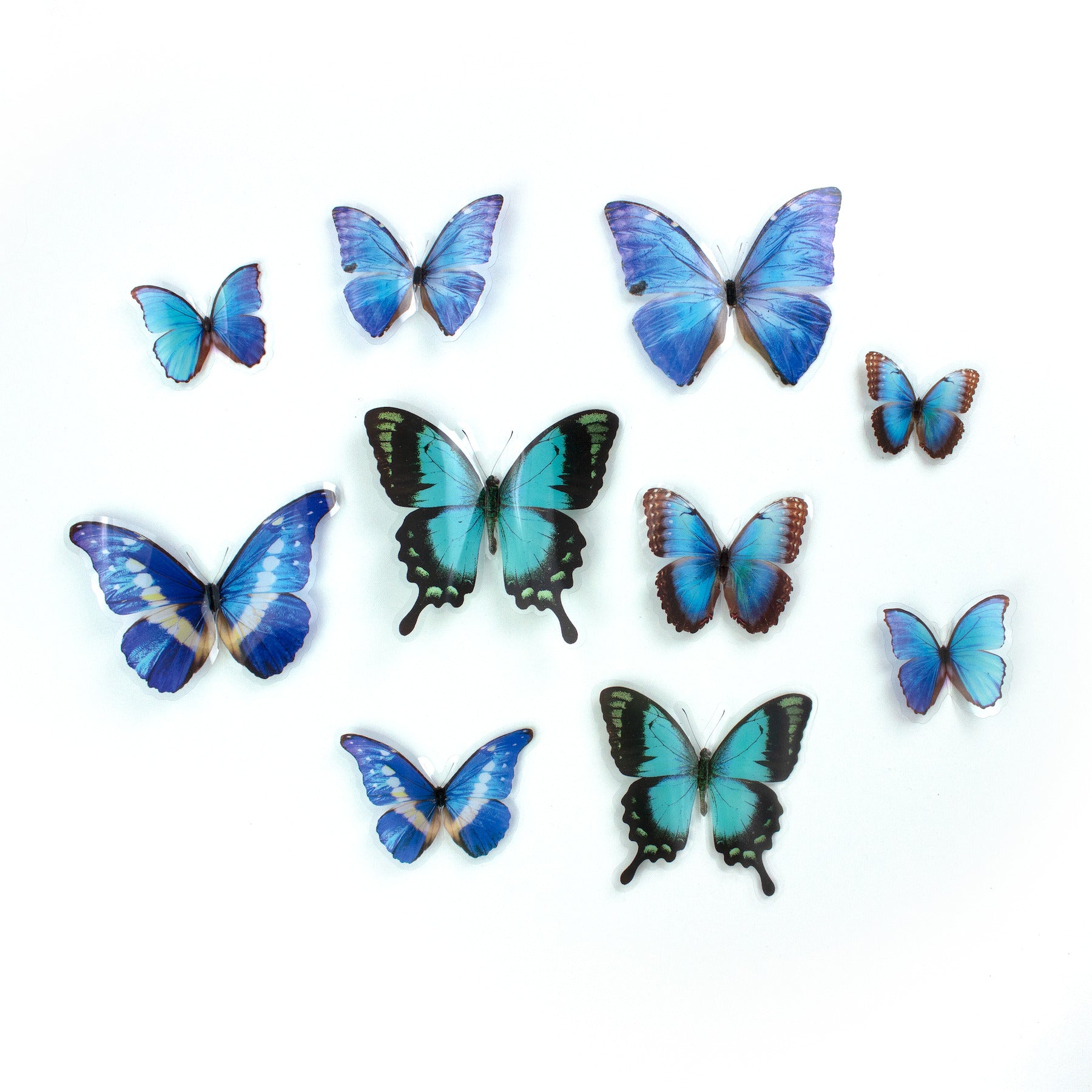 Butterfly Embellishments by WallPops