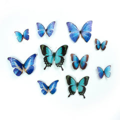 Butterfly Embellishments by WallPops