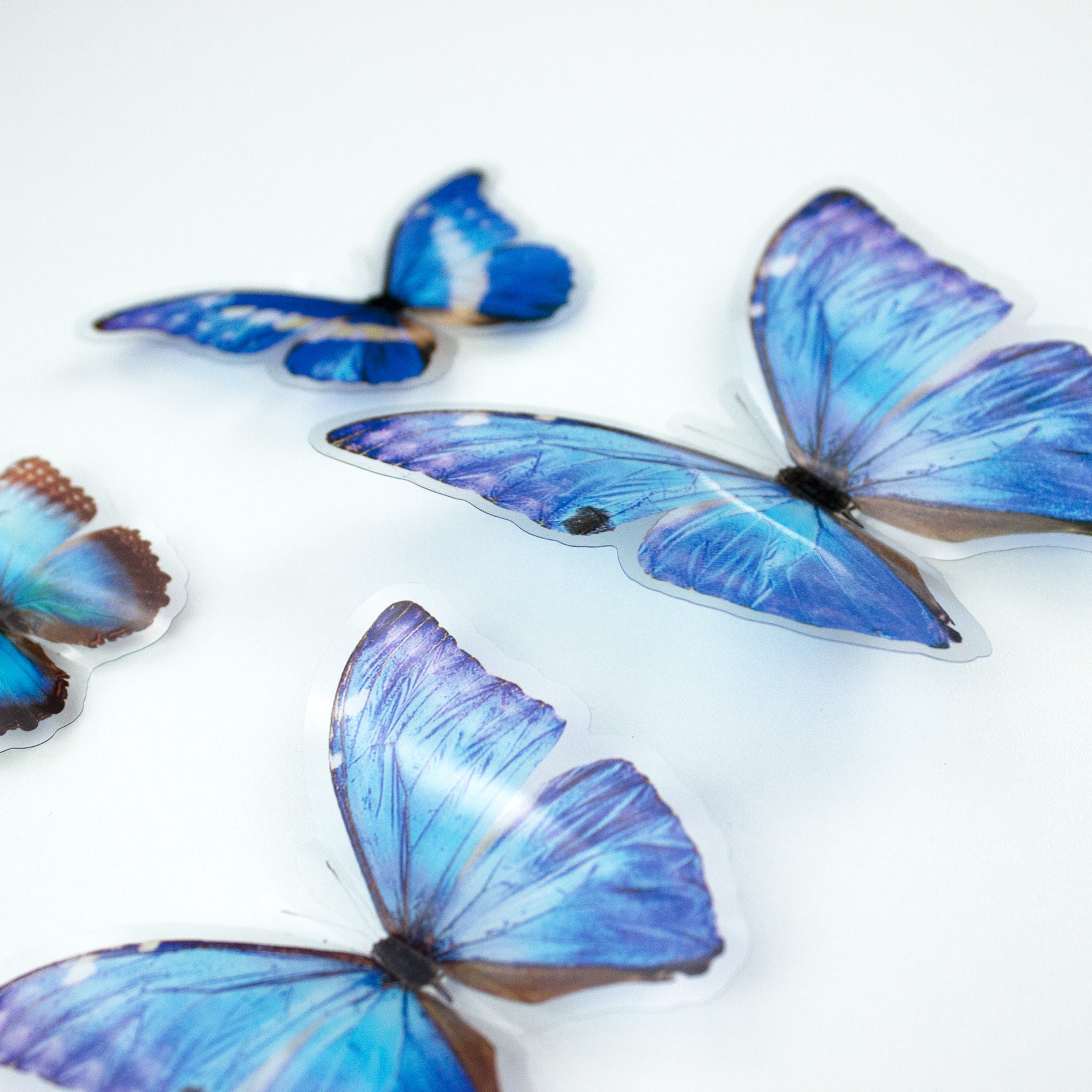 Butterfly Embellishments pattern close-up