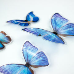 Butterfly Embellishments pattern close-up