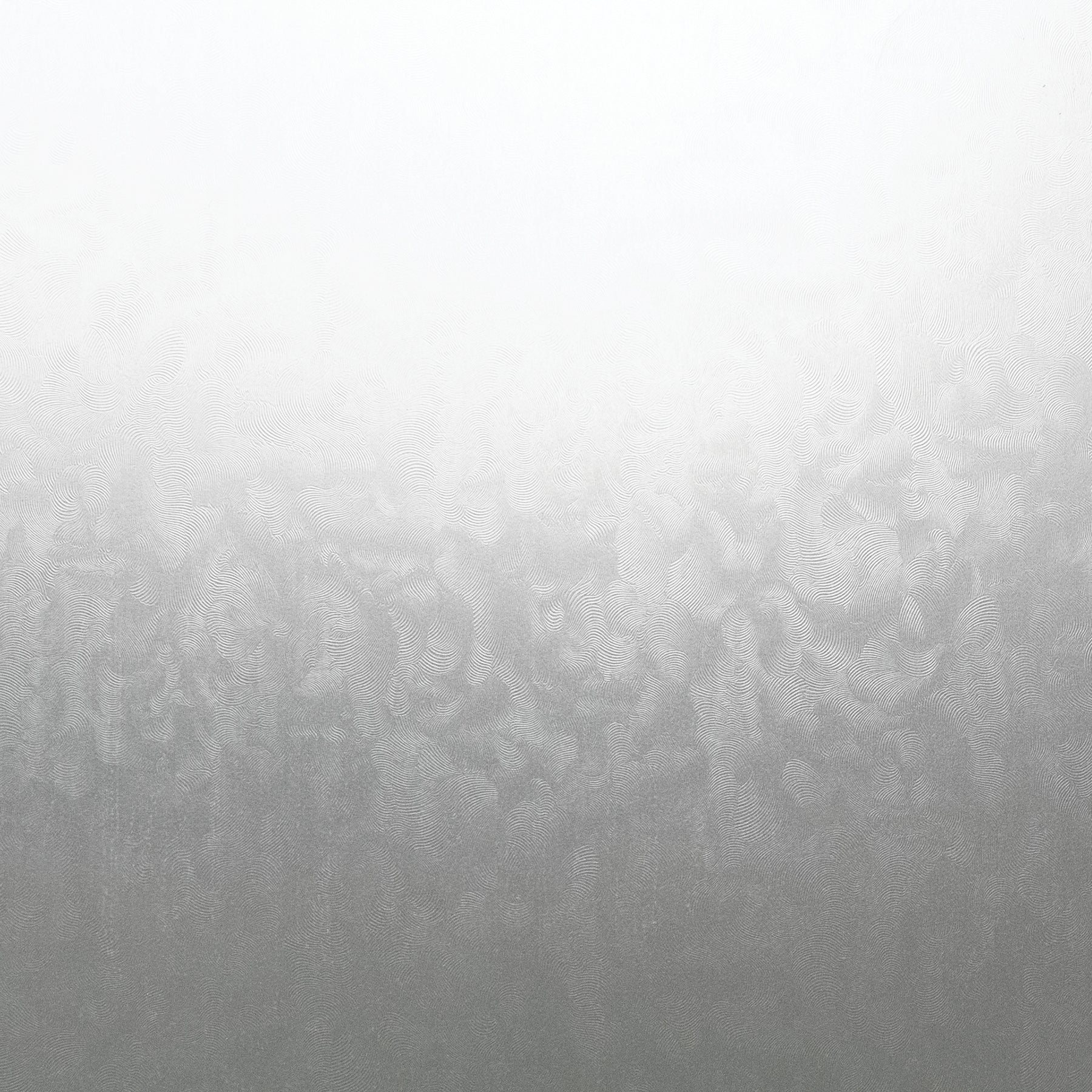 Ice Flowers Window Film by WallPops