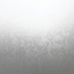 Ice Flowers Window Film by WallPops