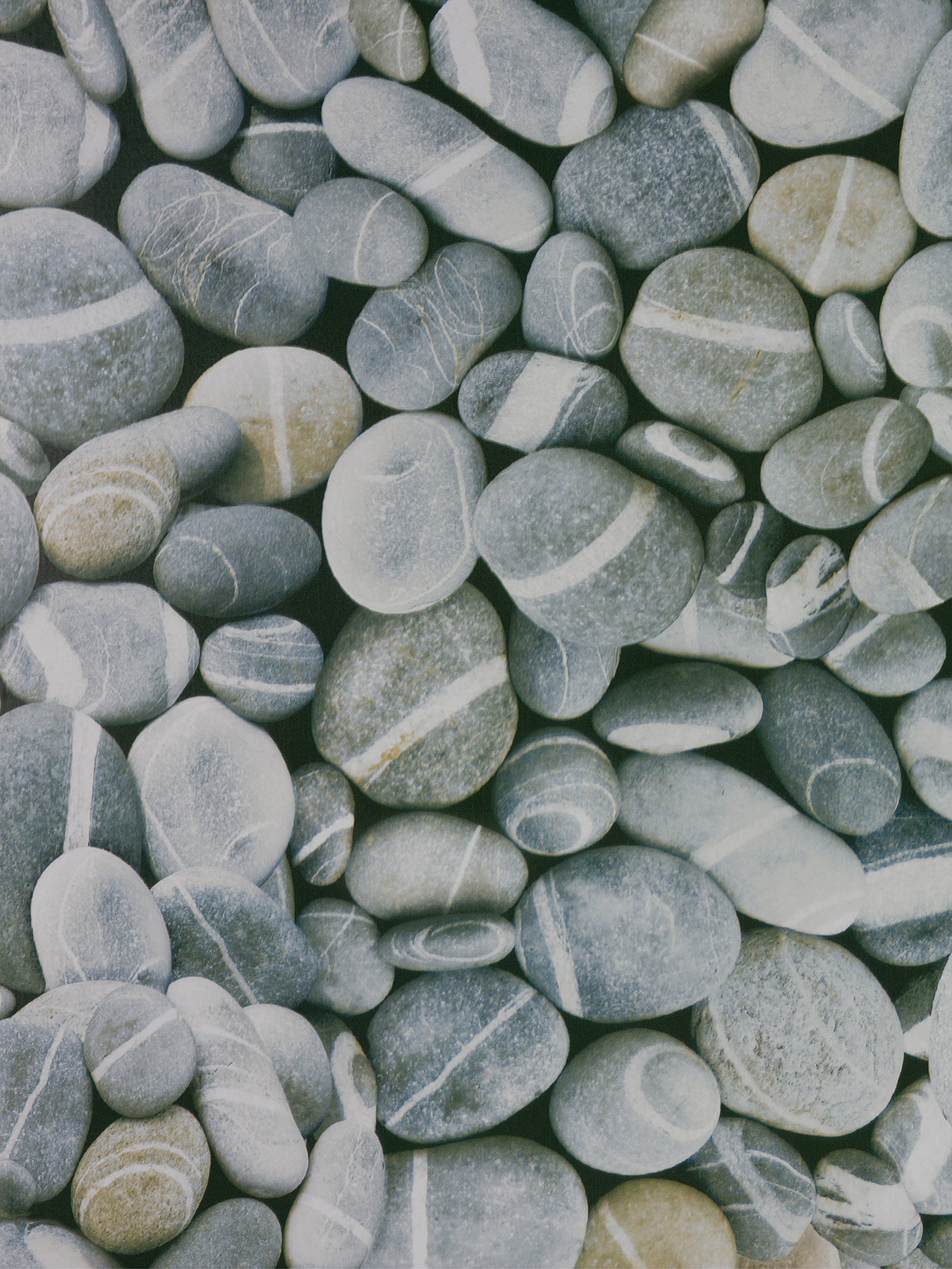Pebbles Adhesive Film by WallPops