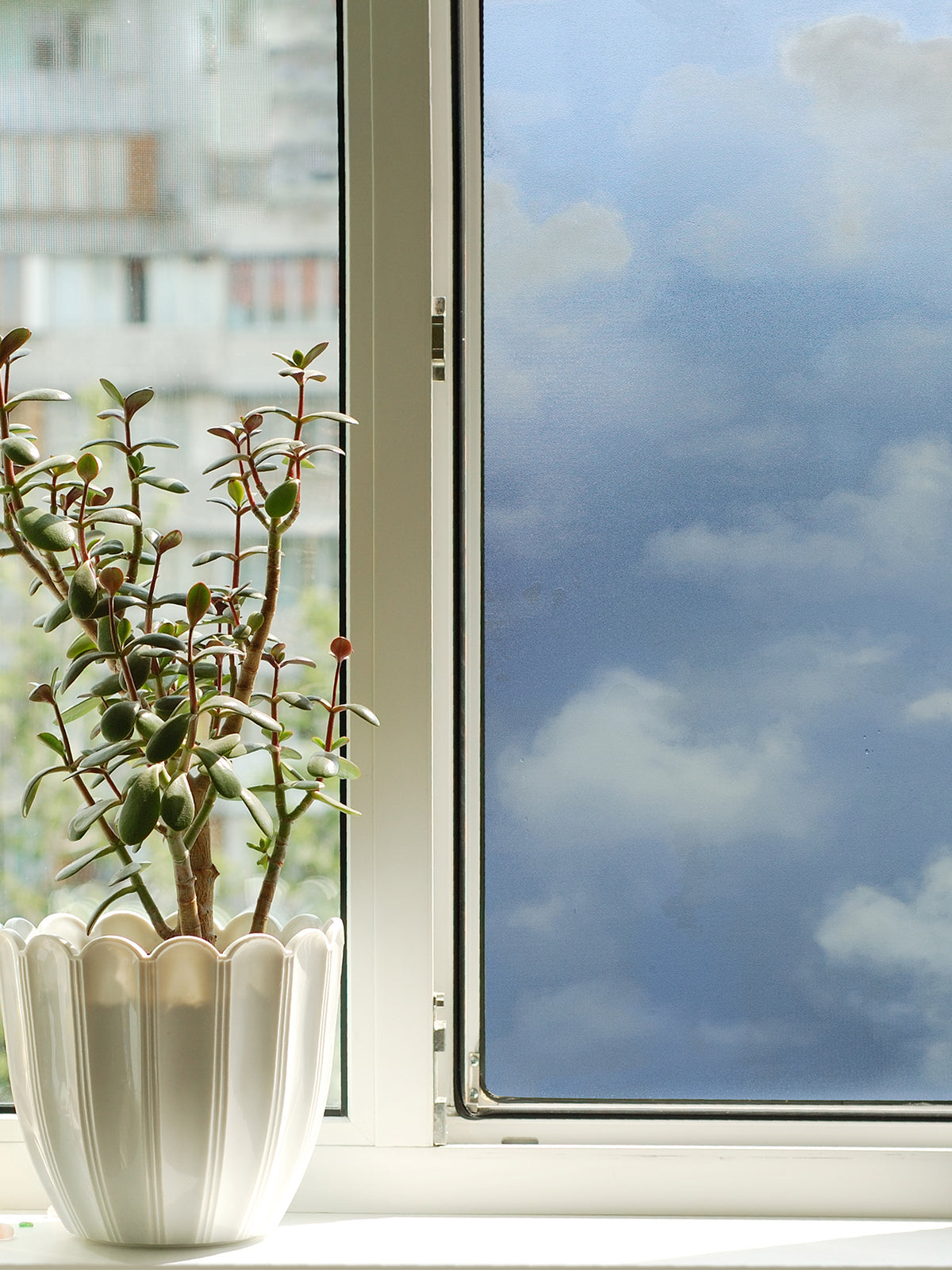 Clouds Window Film in a room setting