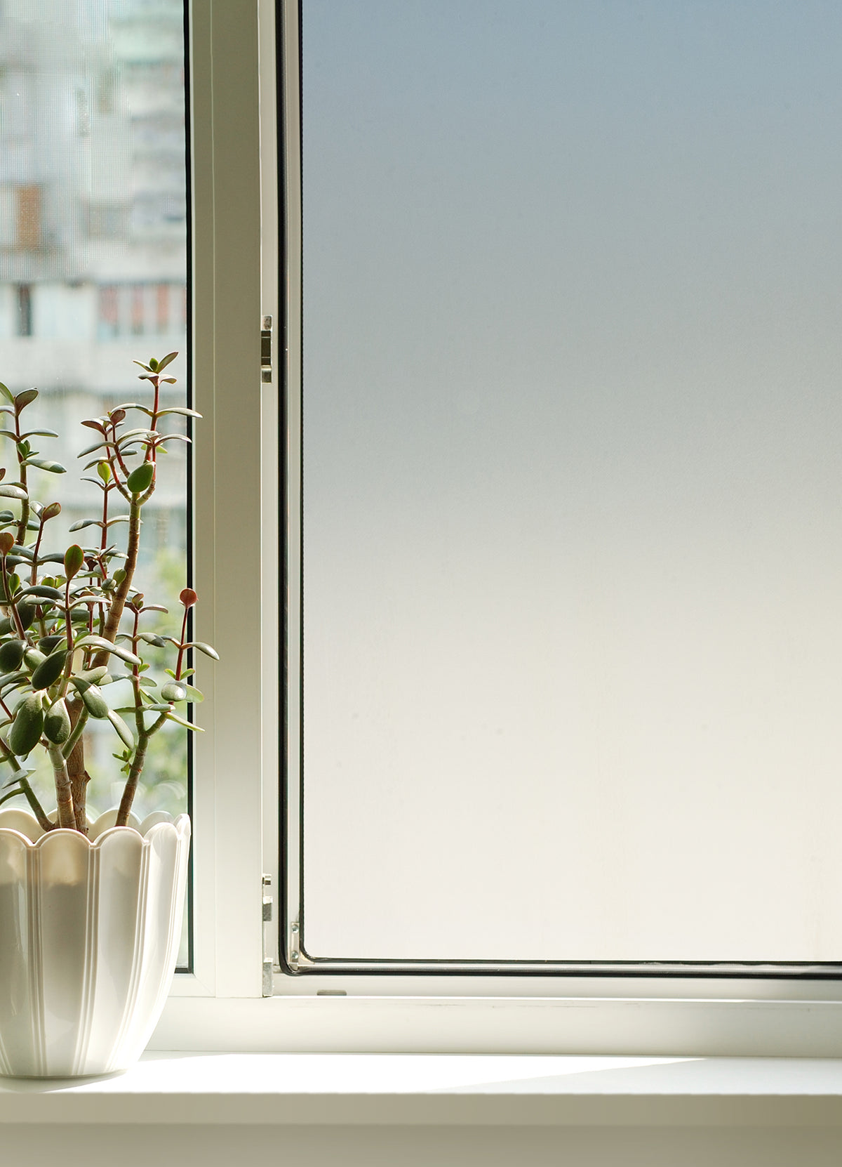 Transparent Window Film in a room setting
