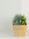 Frost Window Film by WallPops
