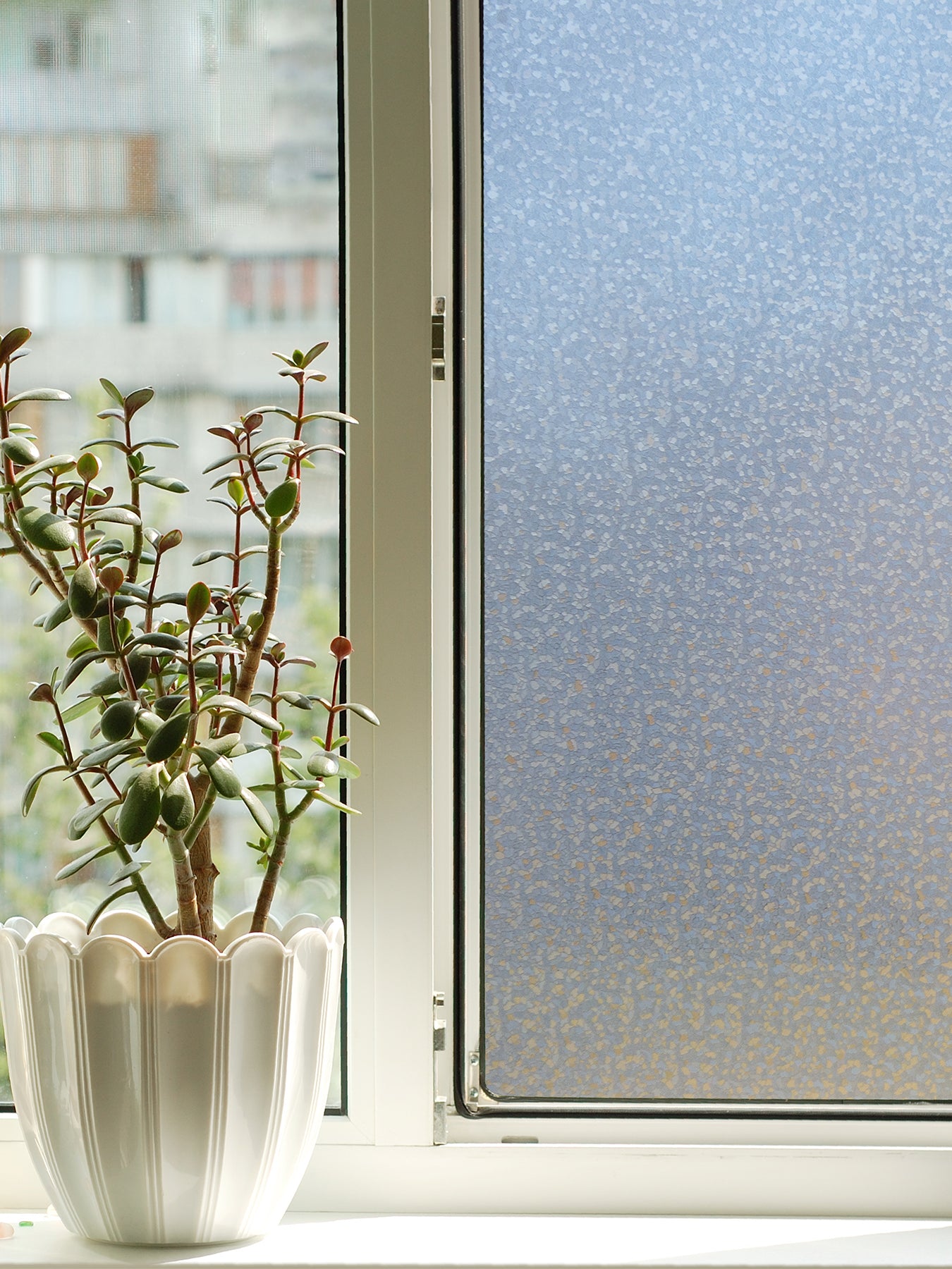 Frost Window Film