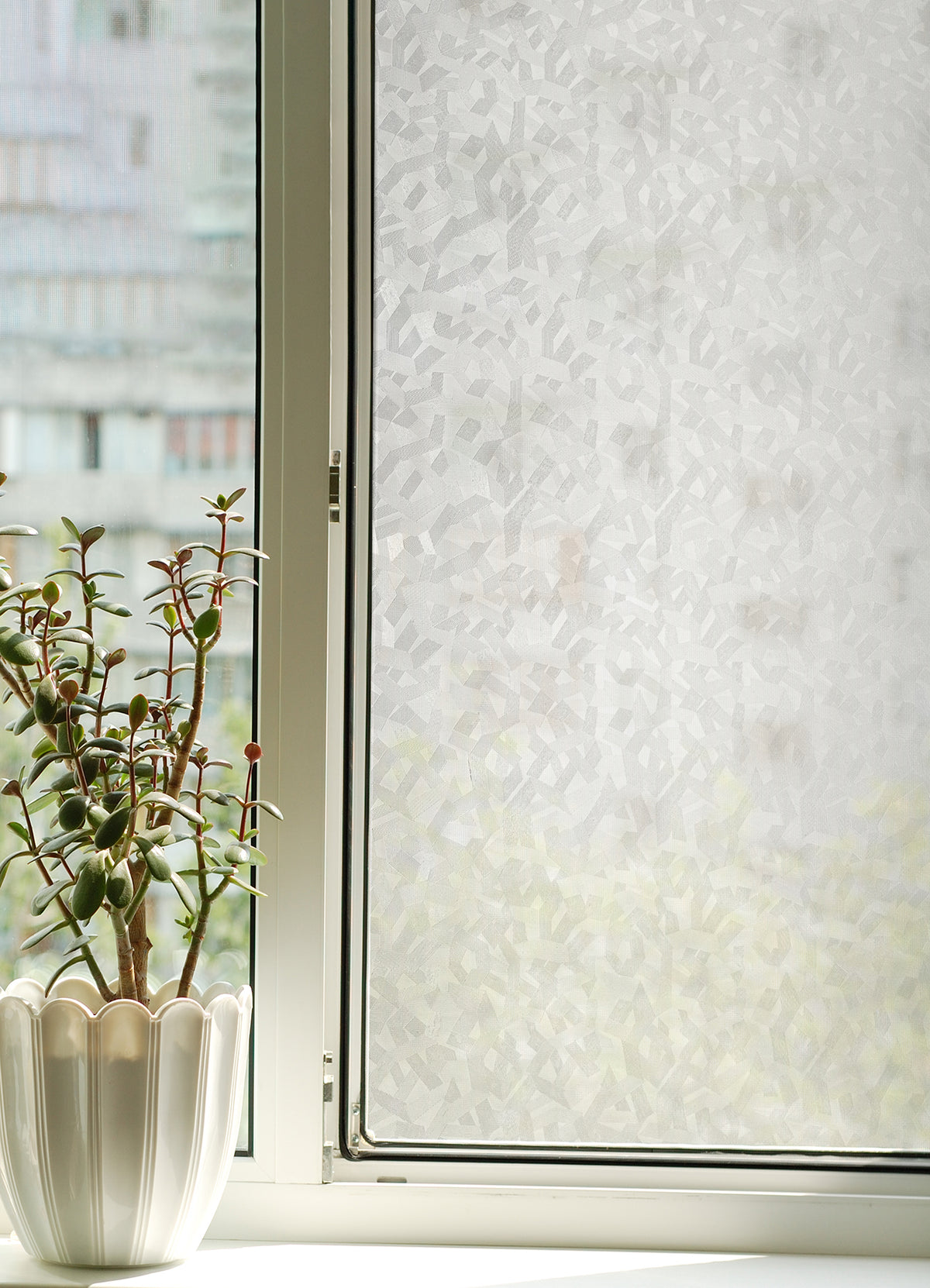 Mikado Window Film in a room setting