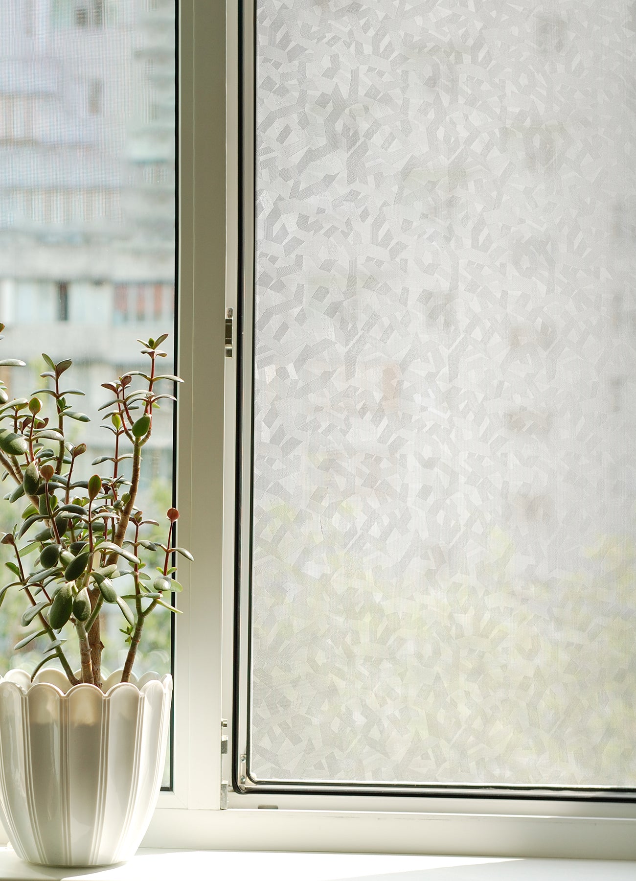 Mikado Window Film in a room setting