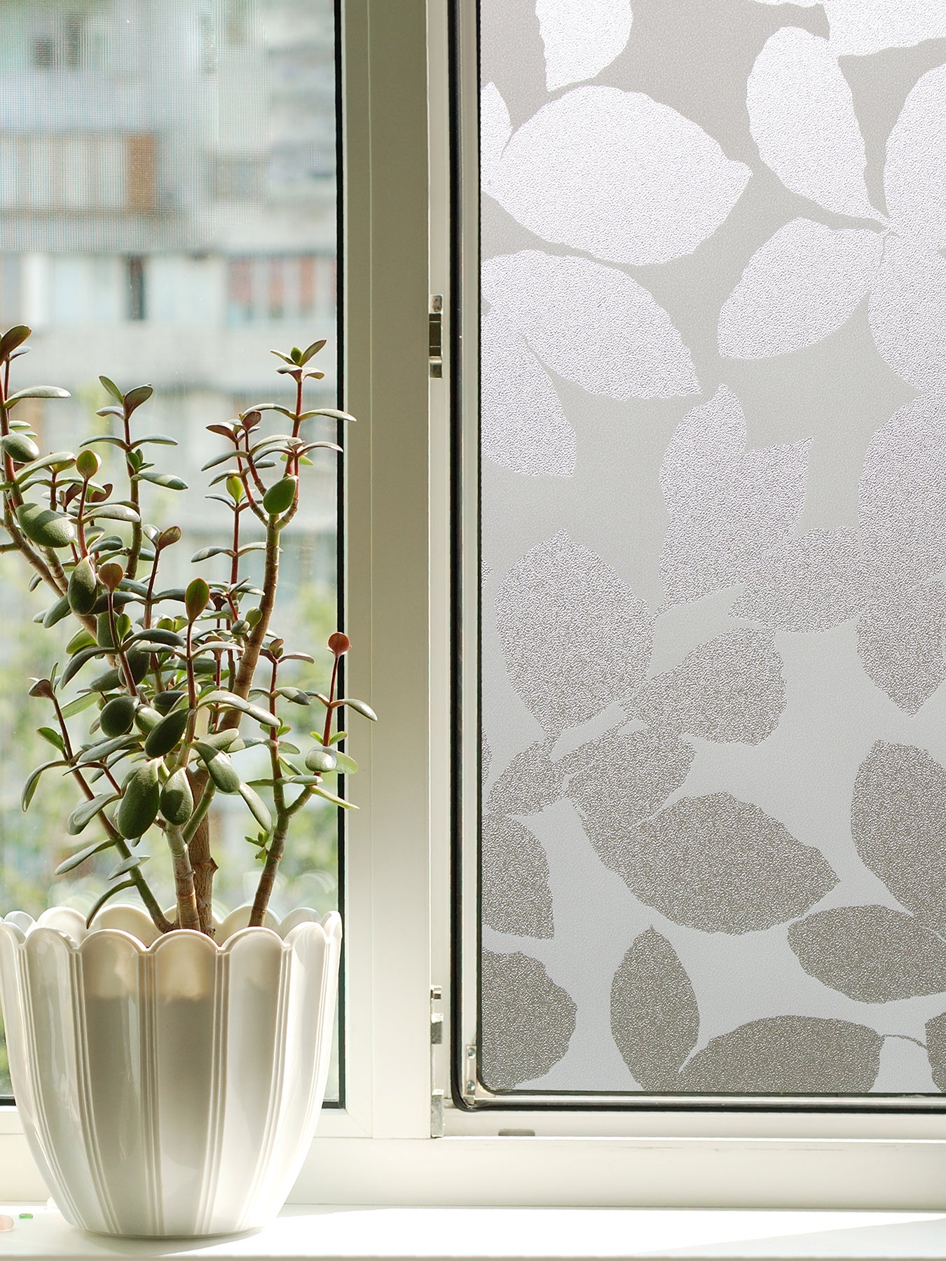 Leaf Window Film in a room setting