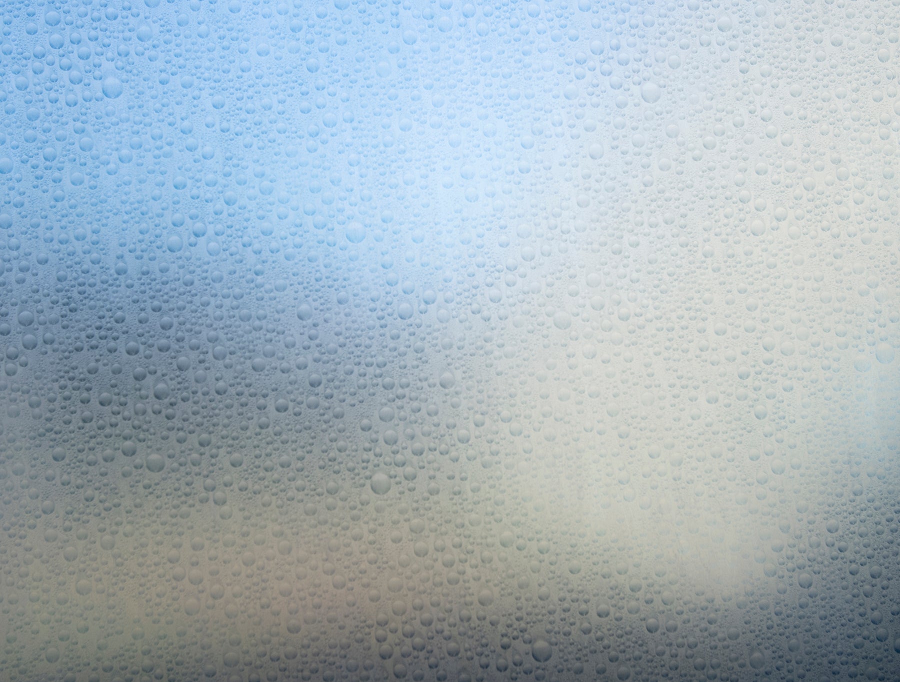 Waterdrop Window Film by WallPops
