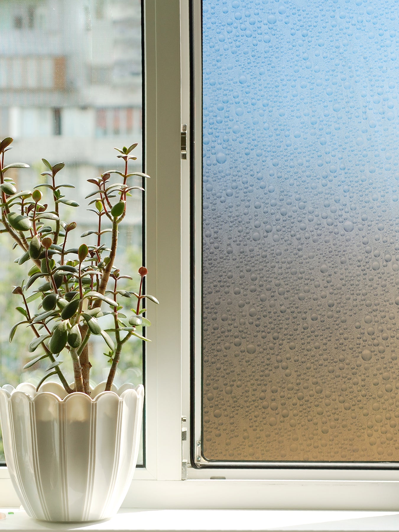 Waterdrop Window Film in a room setting