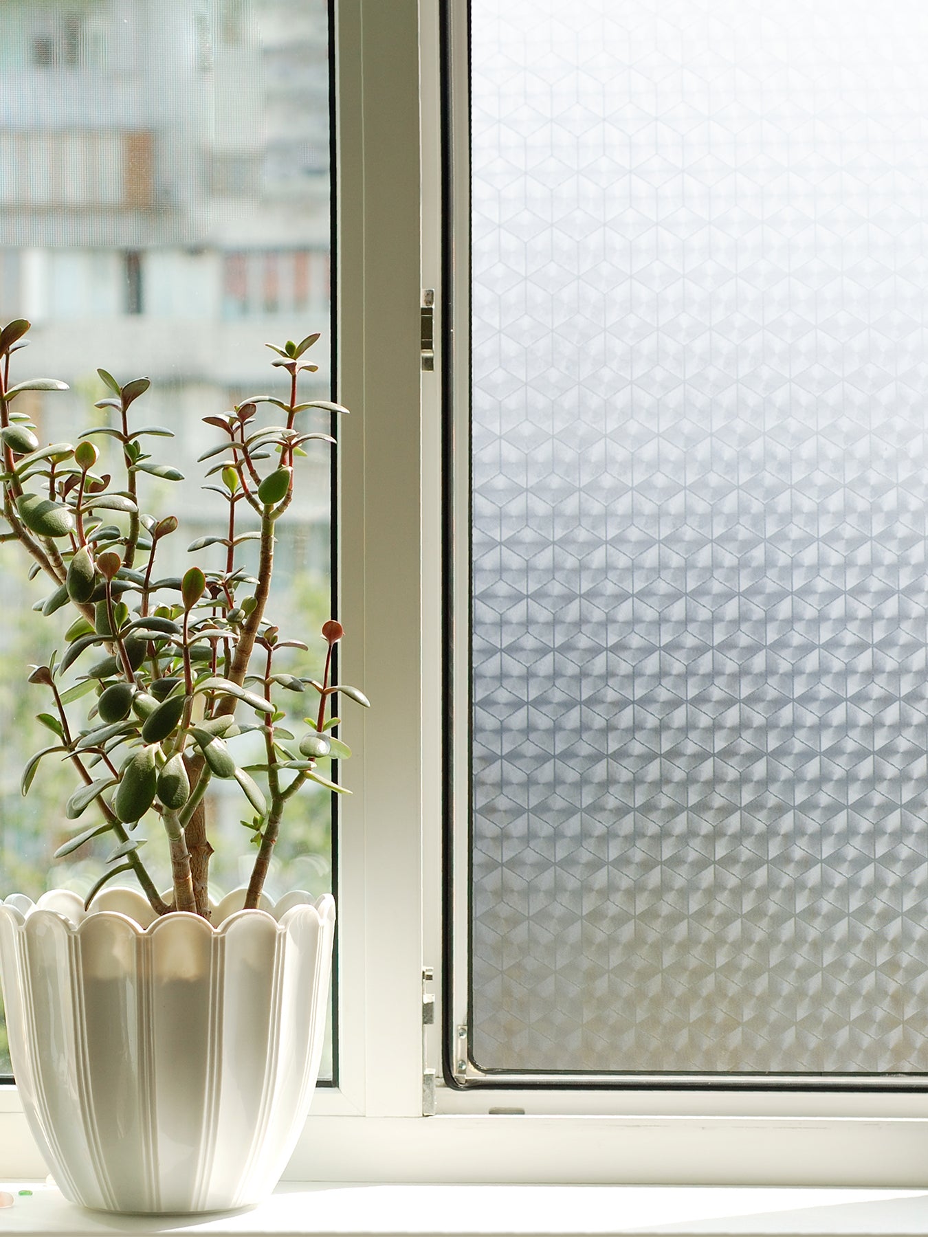 Rhombus Window Film in a room setting