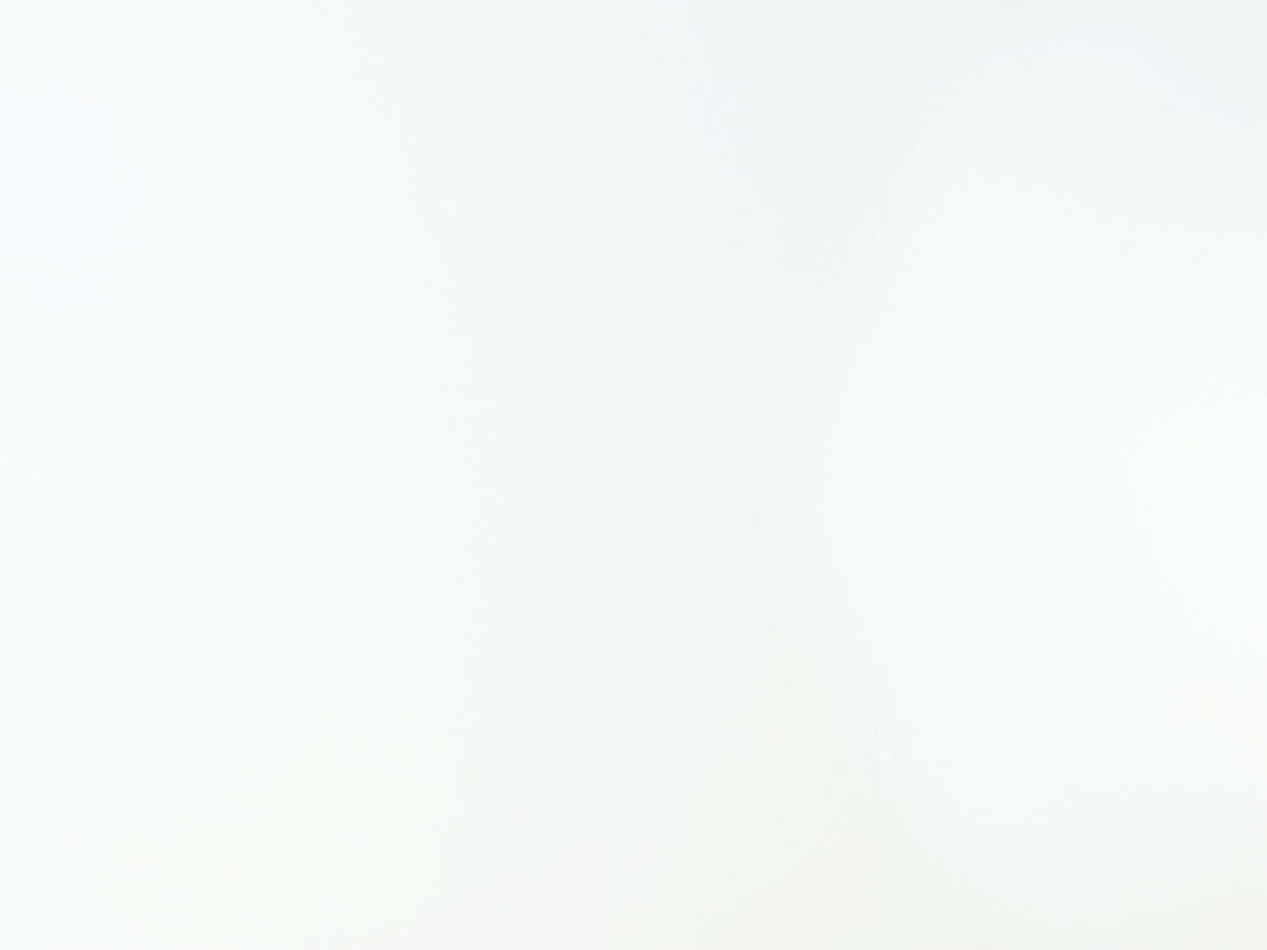 Whiteboard Adhesive Film by WallPops