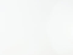 Whiteboard Adhesive Film by WallPops