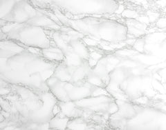 Carrara Wall Decals by WallPops