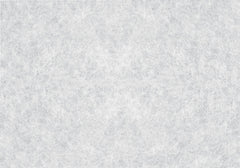 Rice Paper Window Film by WallPops