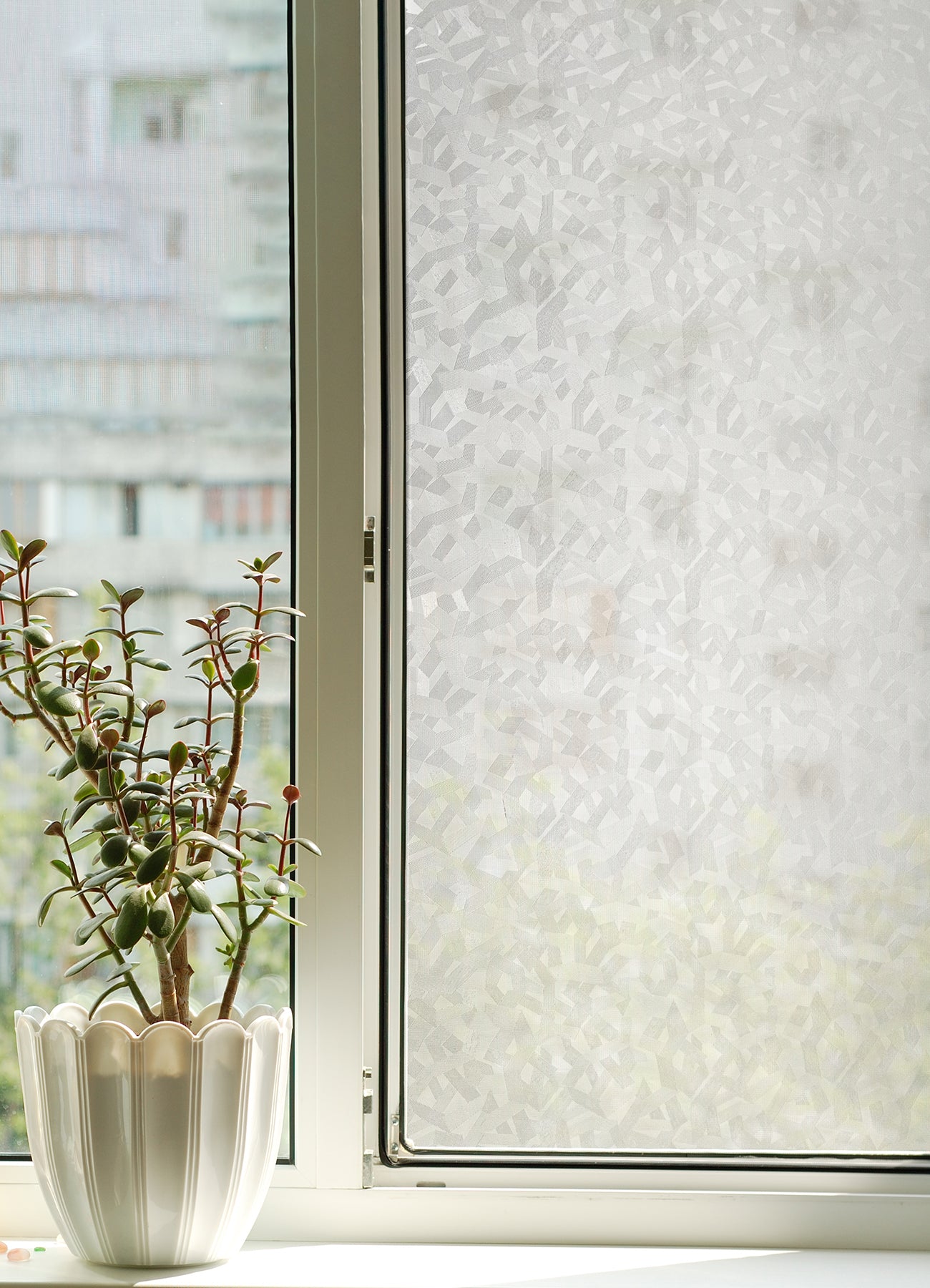 Mikado Window Film in a room setting