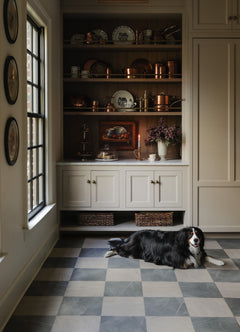 fp6333-peel-and-stick-floor-tile-room-scene-styled-interior