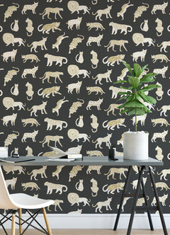 Kitty Kitty Novelty P&S Wallpaper in a room setting