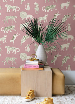 Kitty Kitty Novelty P&S Wallpaper in a room setting