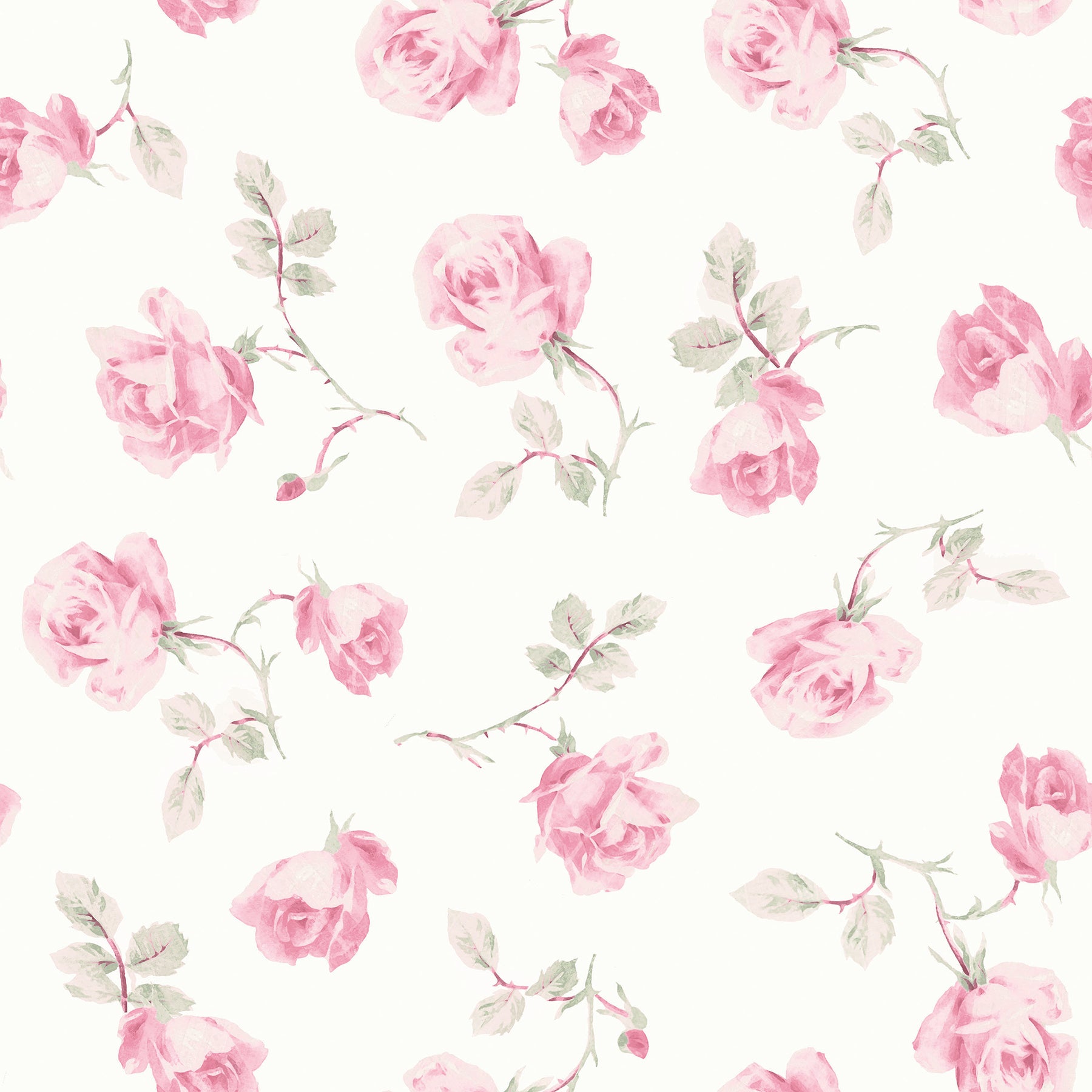 Ribbon Rosa P&S Wallpaper by WallPops