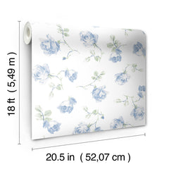 Ribbon Rosa P&S Wallpaper - dimensions