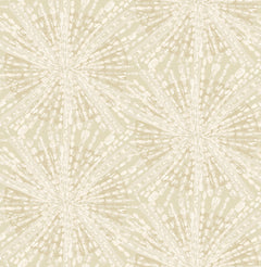 Sunburst P&S Wallpaper by WallPops