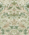 Fennel