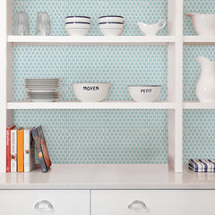 Penny Tile Tiles in a room setting
