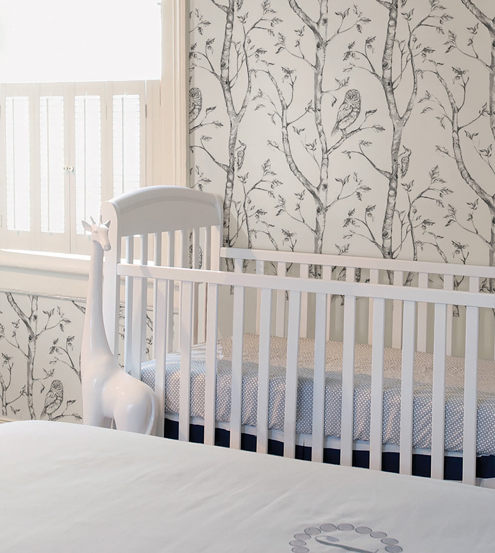 Woods Peel And Stick Wallpaper in a room setting