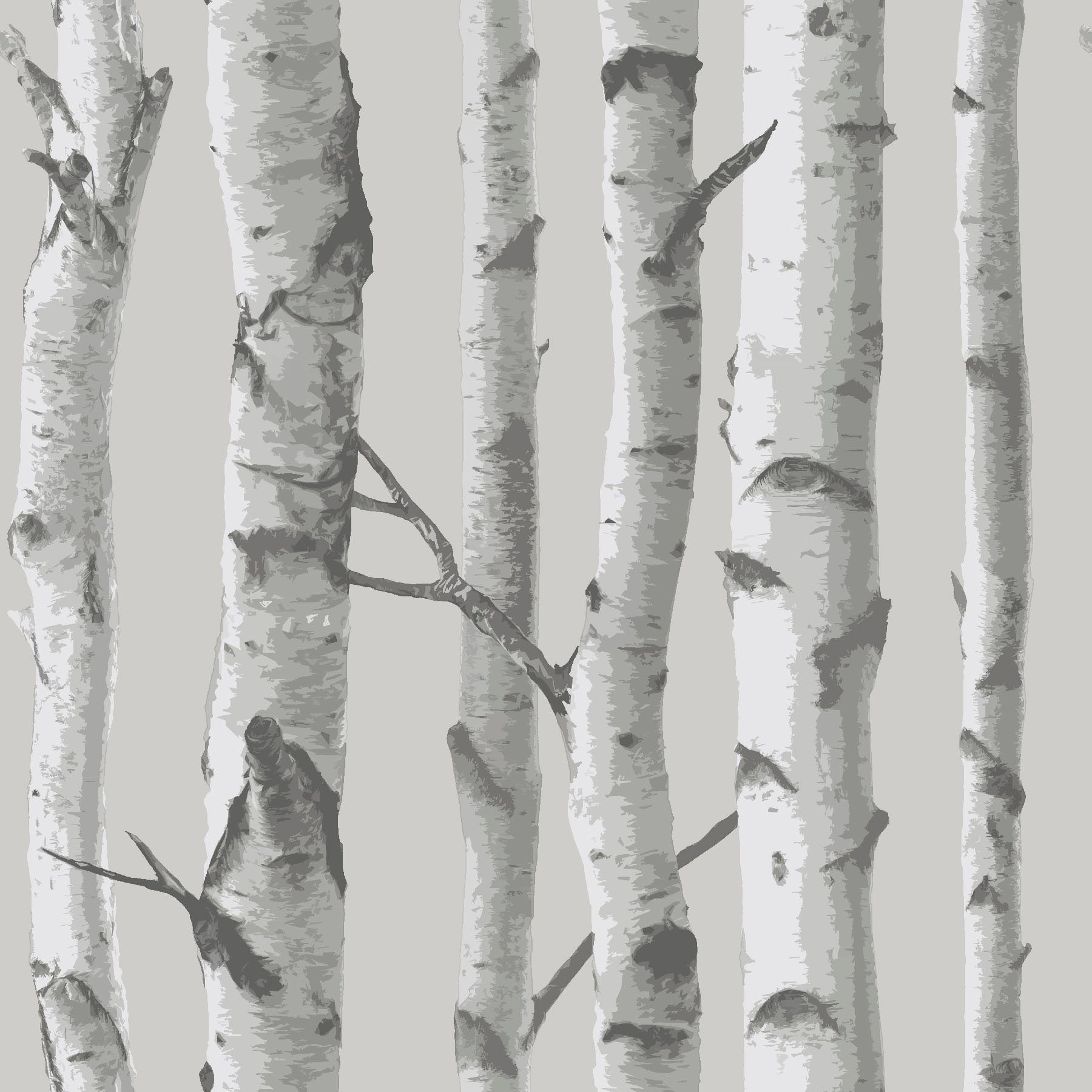 Mountain Birch P&S Wallpaper by WallPops